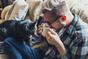 kattenpis meubels schoonmaken