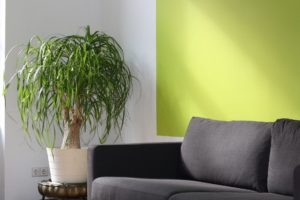 bankstel reinigen amsterdam